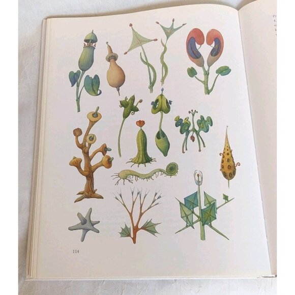 Lithuanian Encyclopedia Of Monsters Marijanovic Hardcover Language Picture Book - Picture 13 of 16